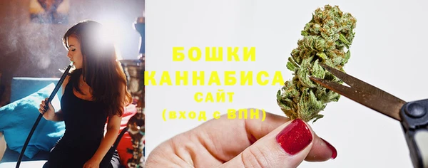 дмт Лагань
