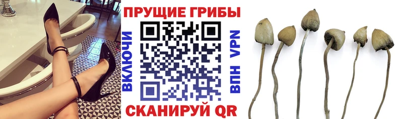 Псилоцибиновые грибы Magic Shrooms Череповец